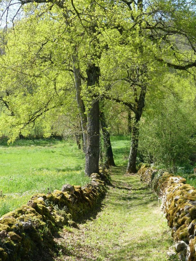 Frontenac Le Hameau Du Quercy Bed & Breakfast エクステリア 写真