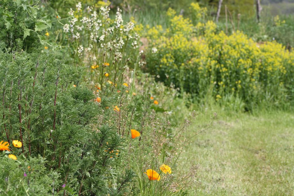 Frontenac Le Hameau Du Quercy Bed & Breakfast エクステリア 写真